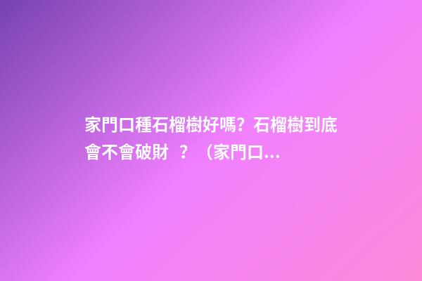 家門口種石榴樹好嗎？石榴樹到底會不會破財？（家門口種石榴樹好不好）